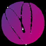 Psicolog&iacute;a Transpersonal